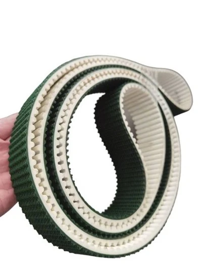 Vành đai thời gian bền
