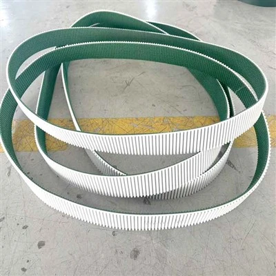Vành đai thời gian hoa văn cỏ để cắt kính